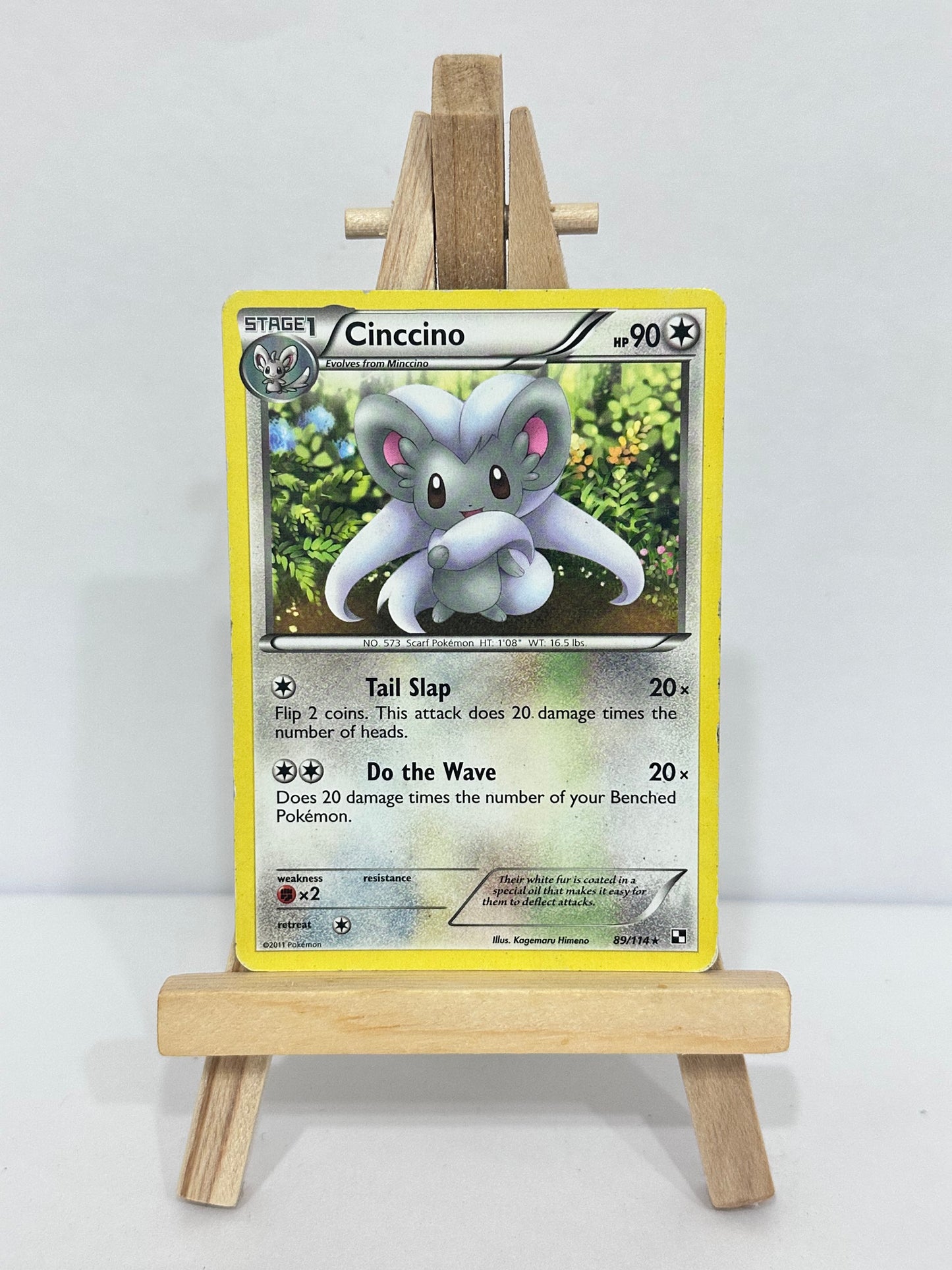 Cinccino