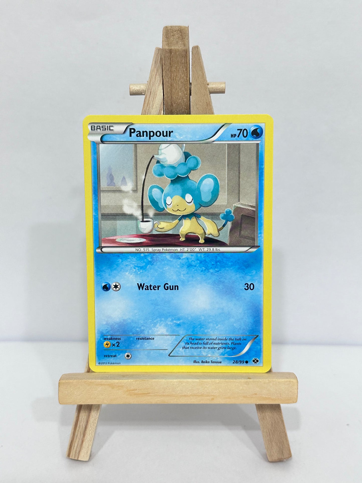 Panpour (Next Destinies)