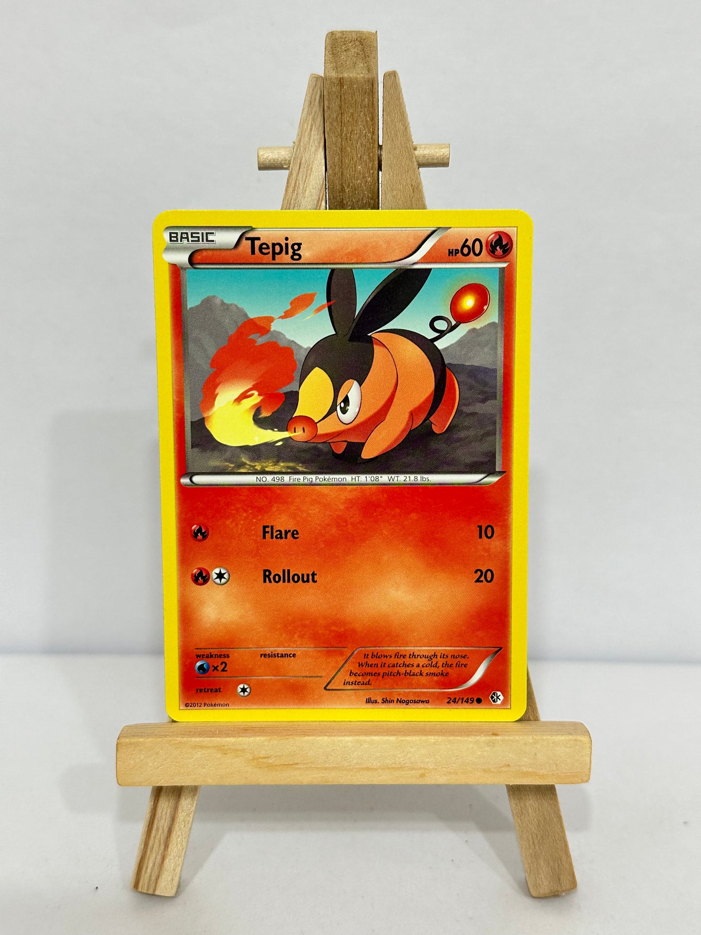 Tepig (Boundaries Crossed)