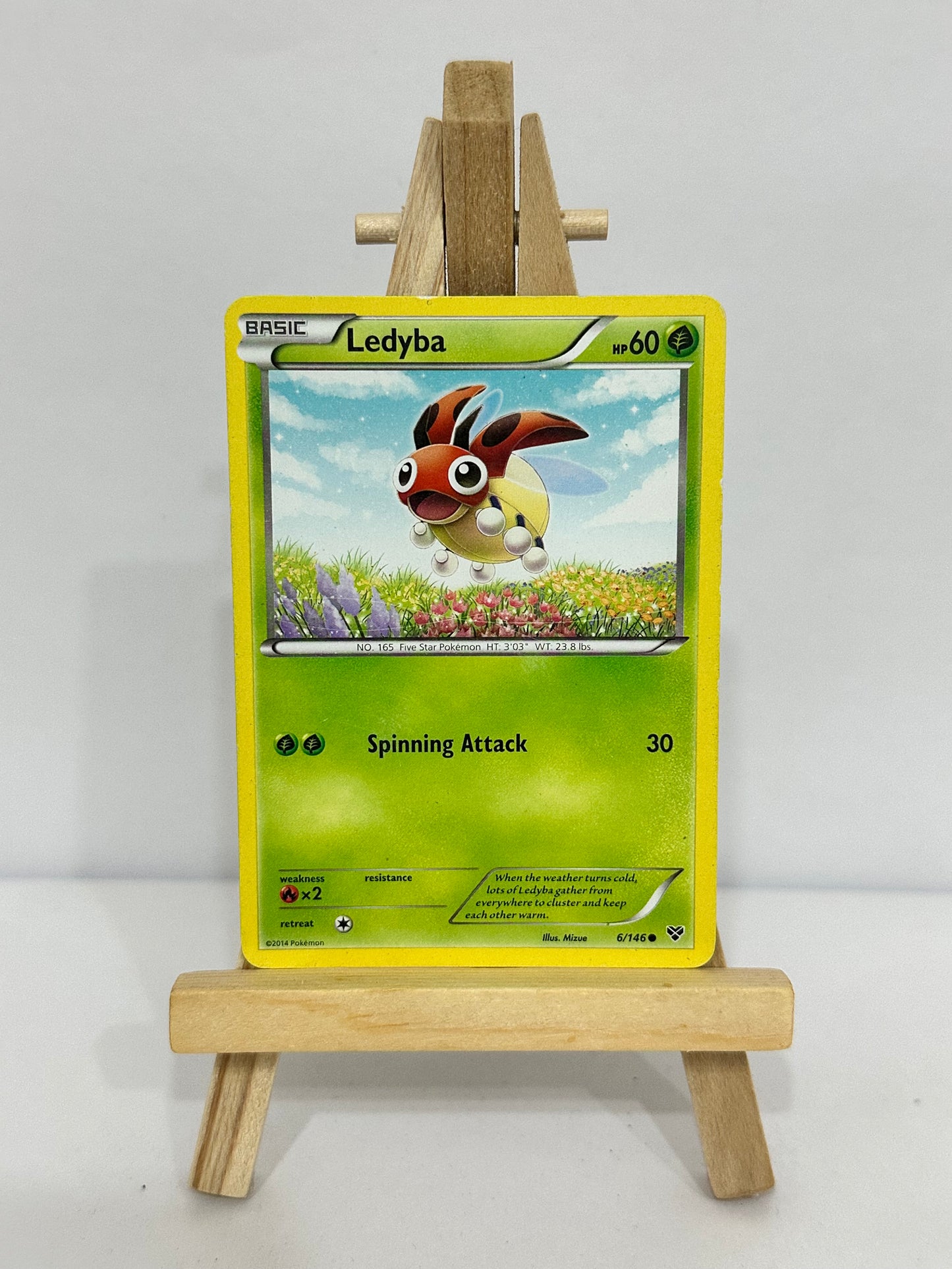 Ledyba