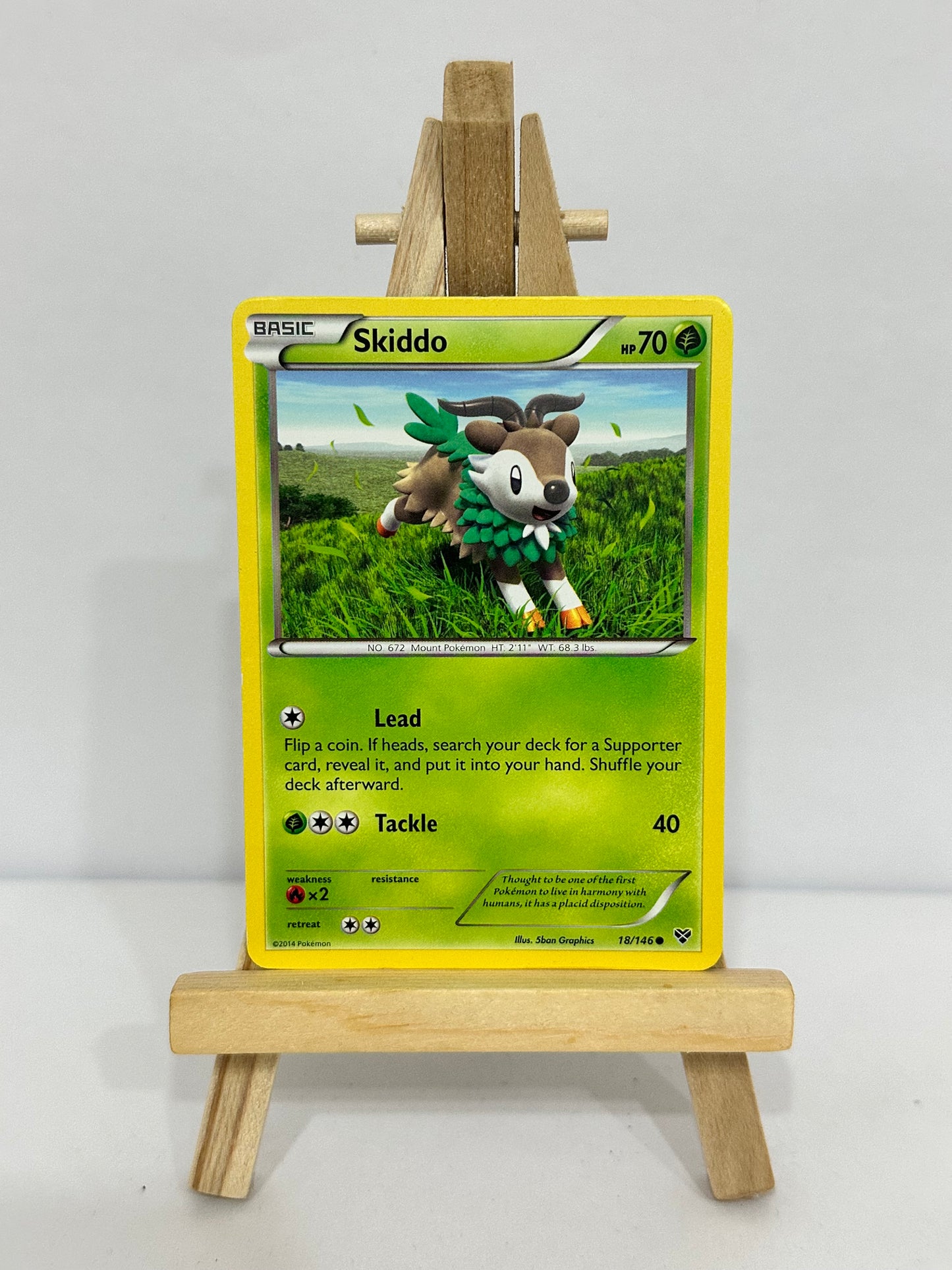 Skiddo