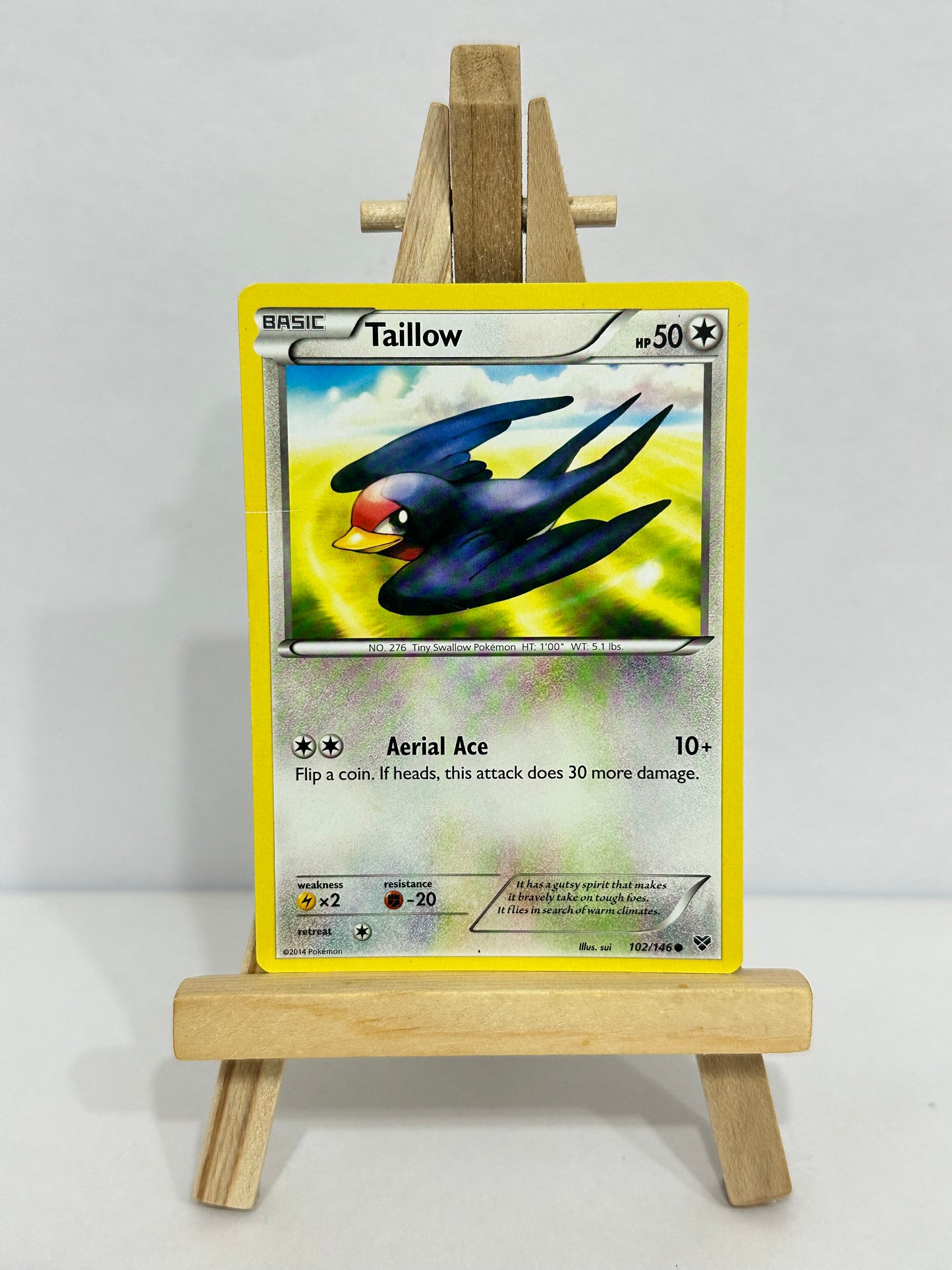 Taillow (Furious Fists)