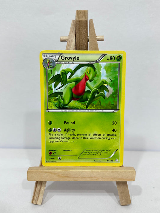 Grovyle (Primal Clash)