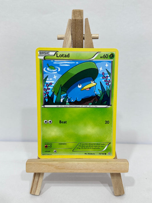 Lotad (Primal Clash)