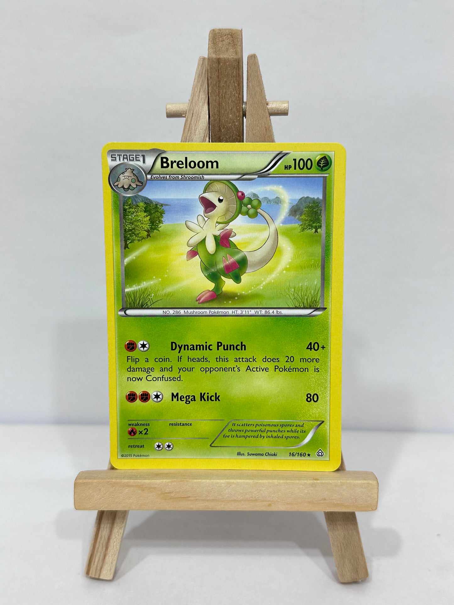 Breloom (Primal Clash)