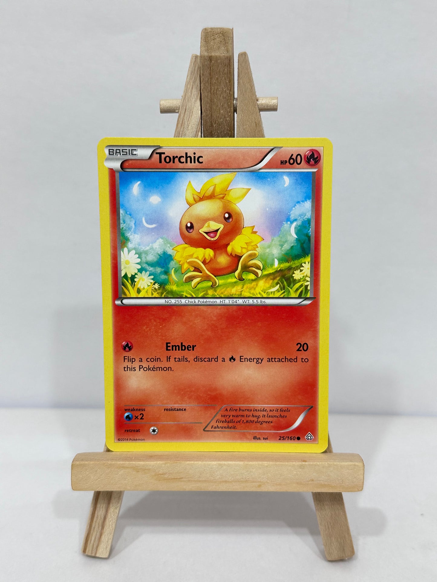 Torchic (Primal Clash)