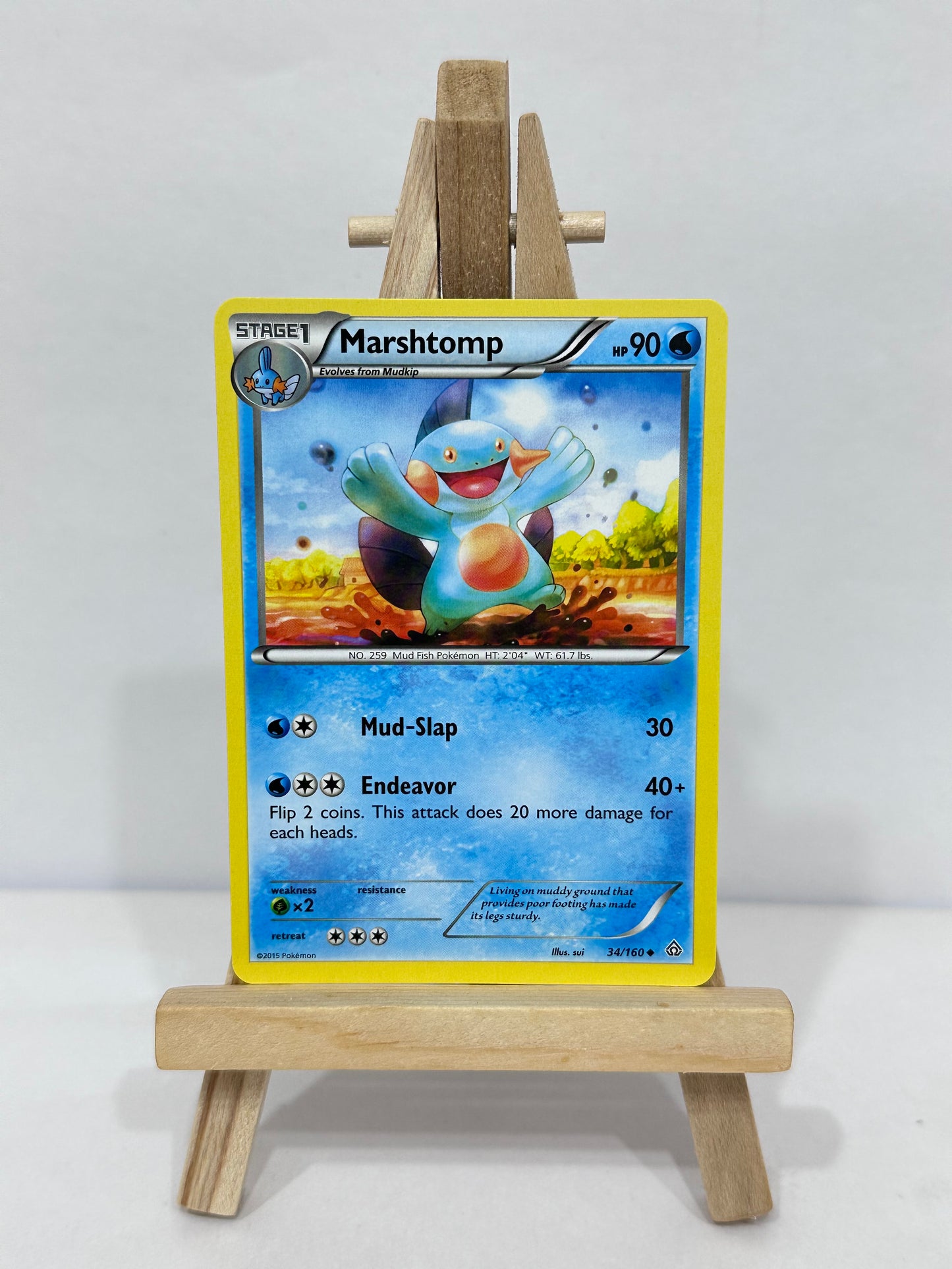 Marshtomp (Primal Clash)