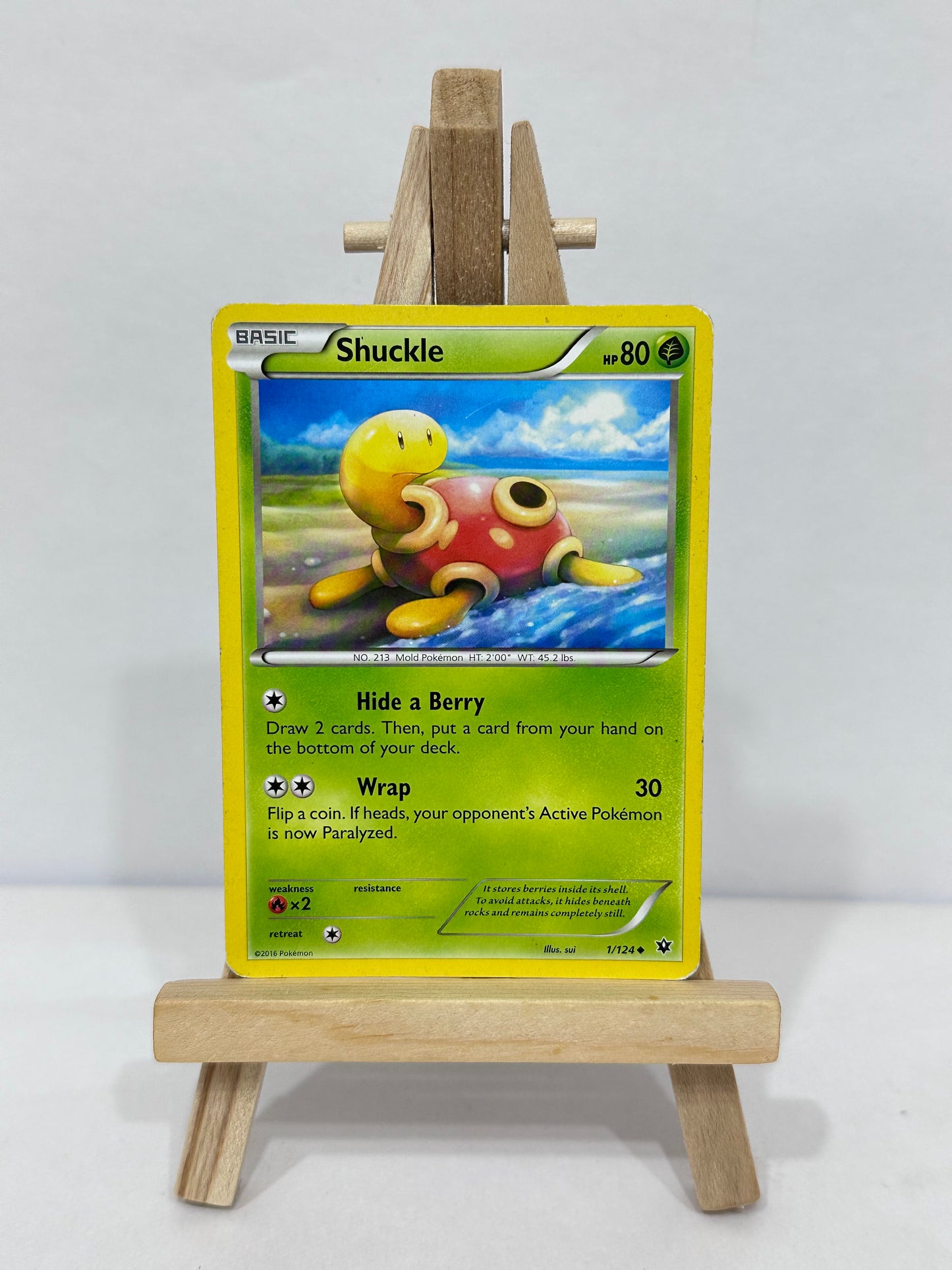 Shuckle (Fates Collide)