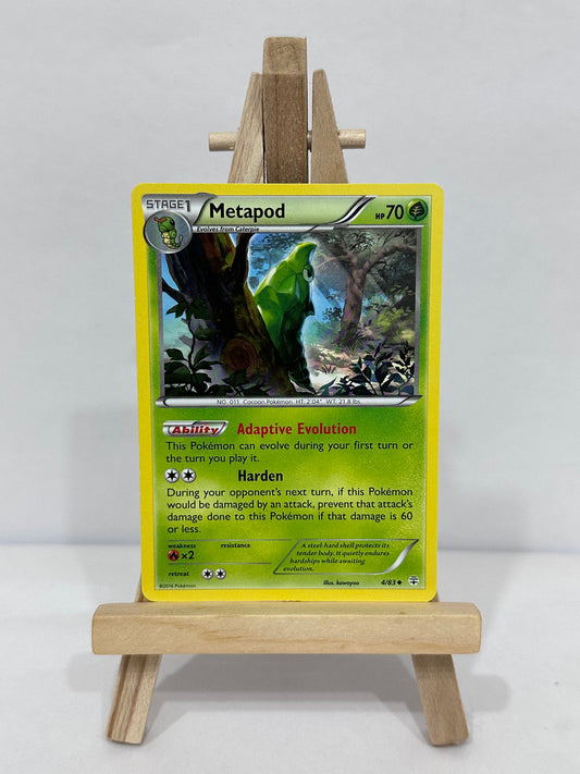 Metapod (Generations)