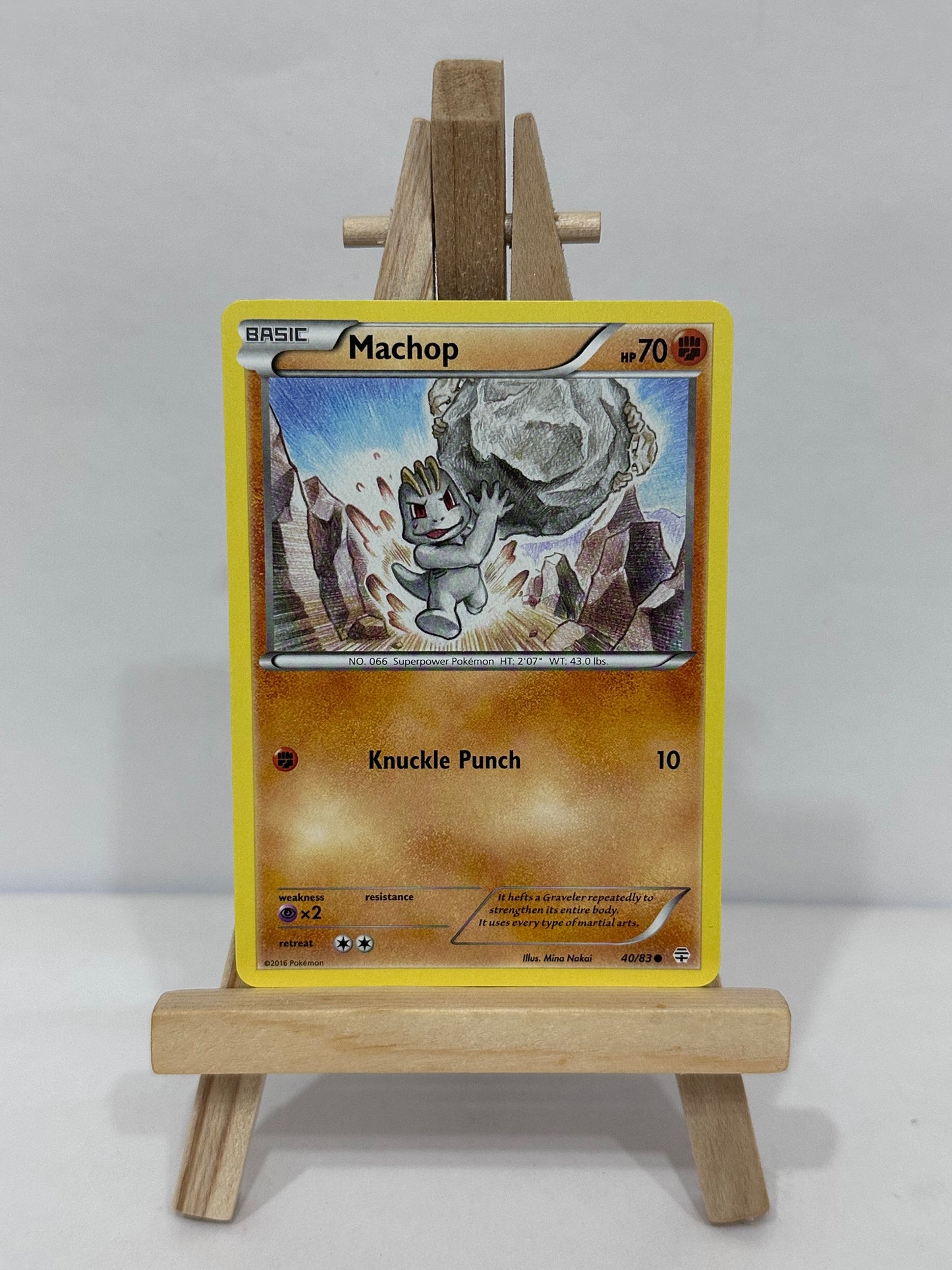 Machop (Generations)