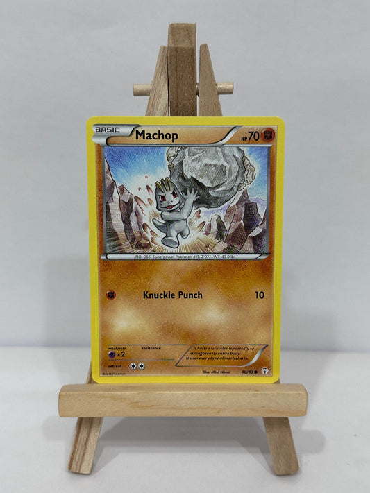 Machop (Generations)