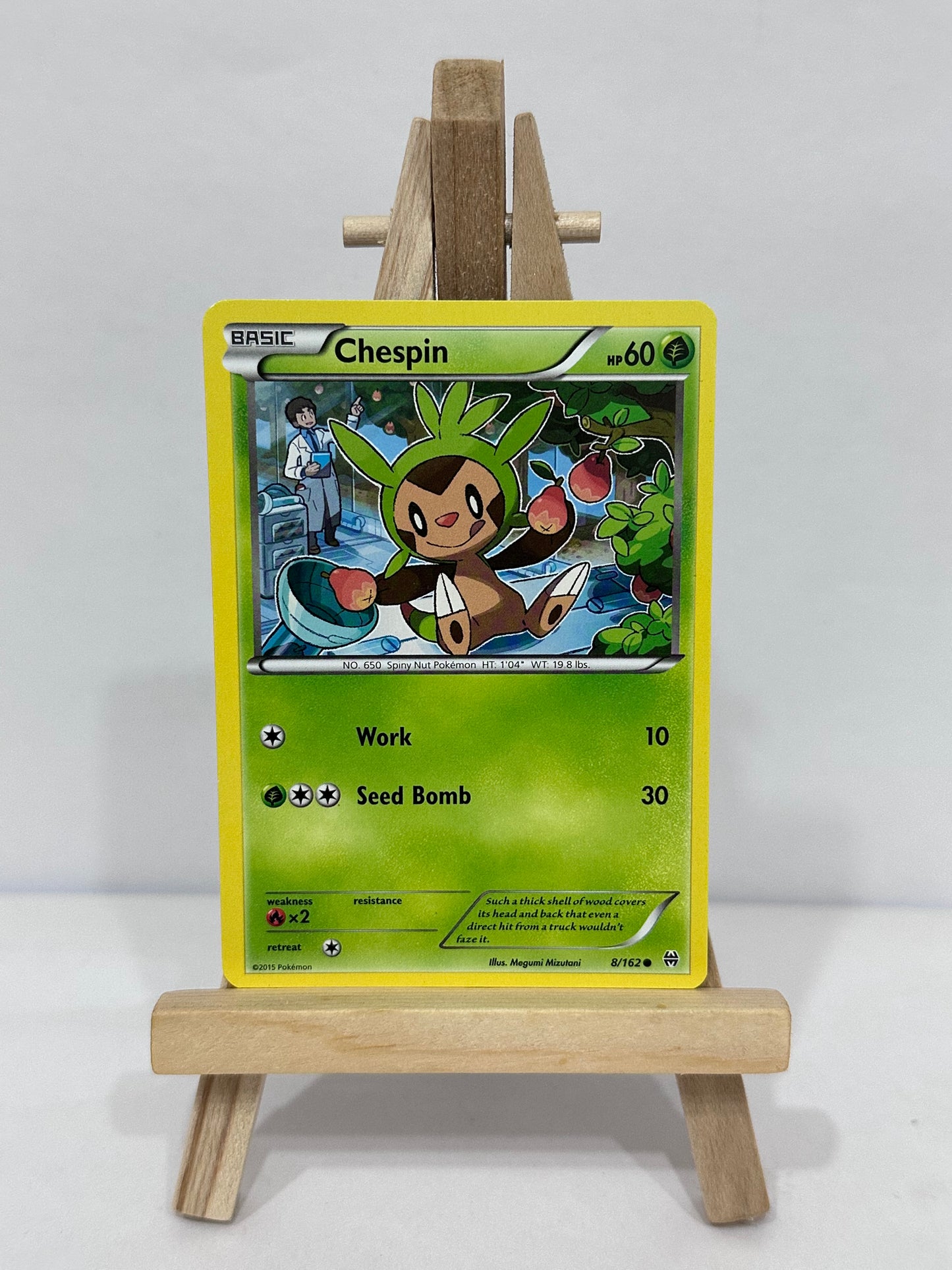 Chespin 8 (Breakthrough)