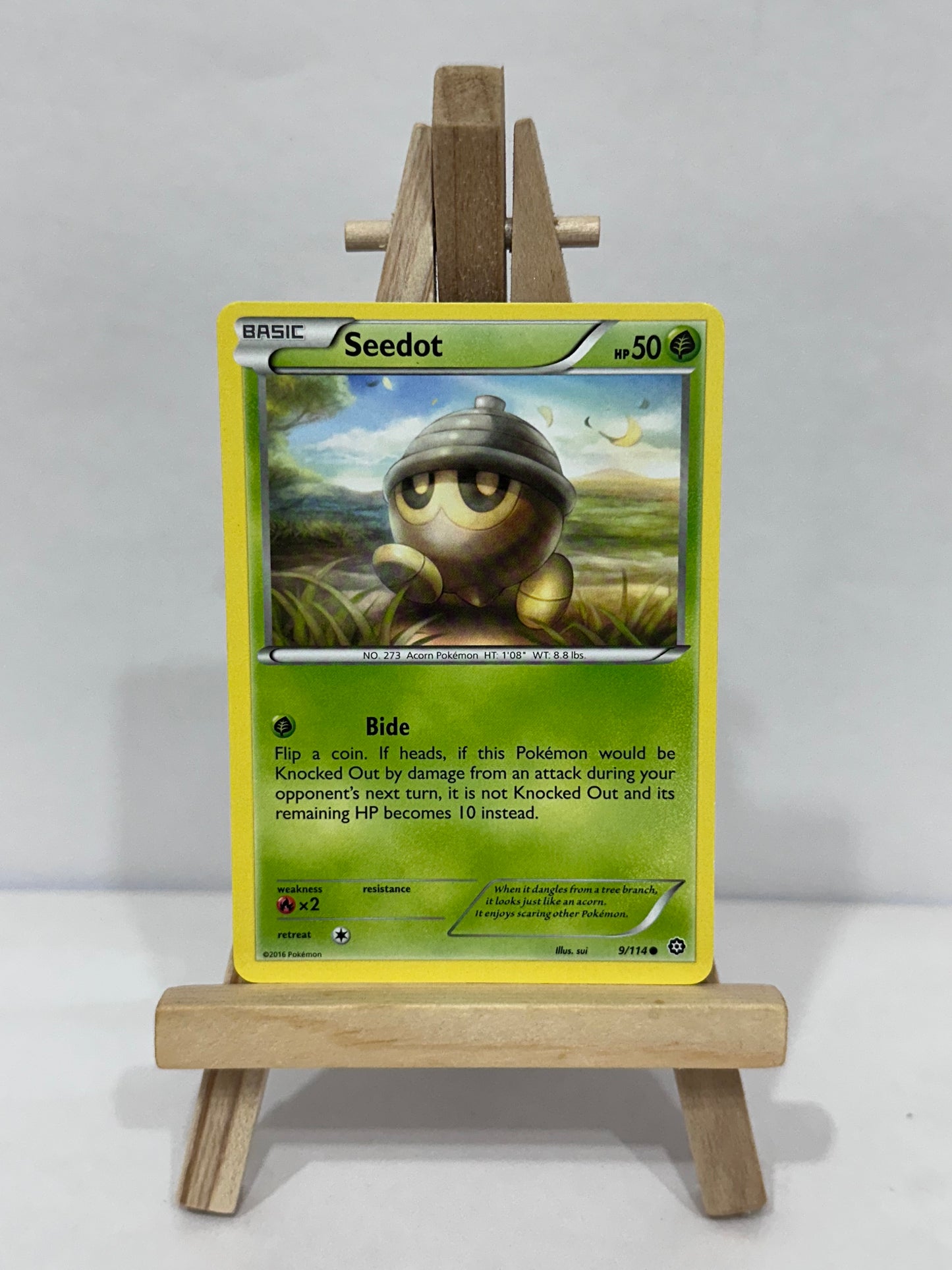 Seedot (Steam Siege)
