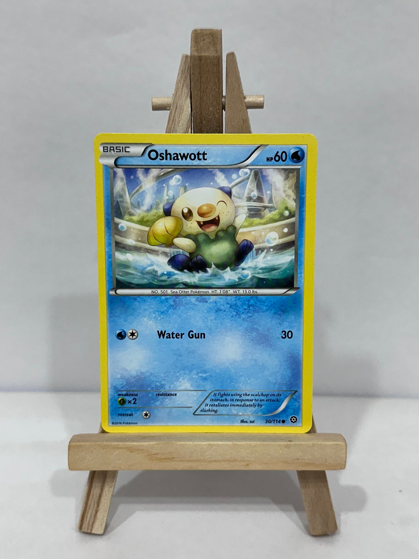 Oshawott (Steam Siege)