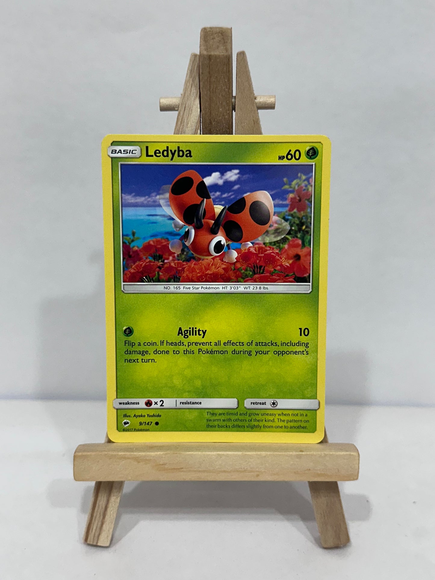 Ledyba (Burning Shadows)