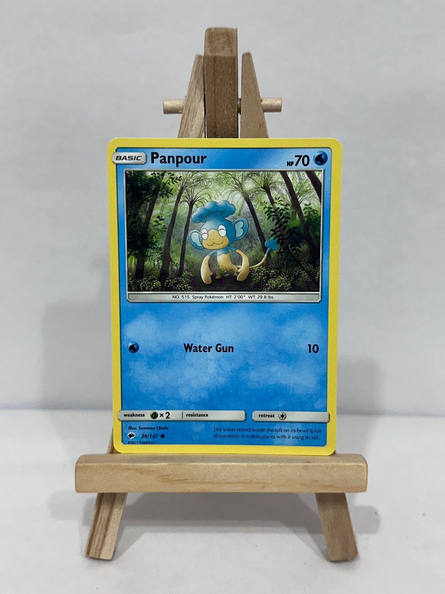 Panpour (Burning Shadows)