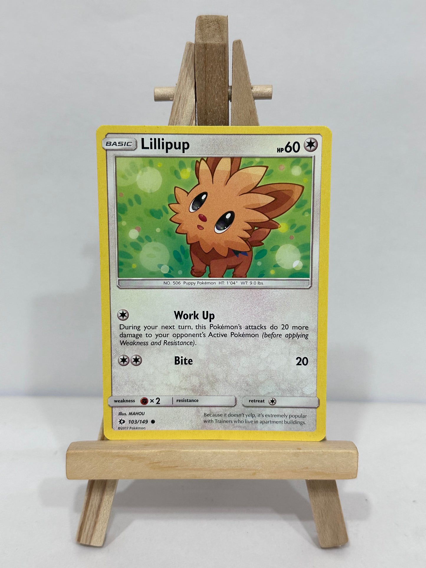 Lillipup