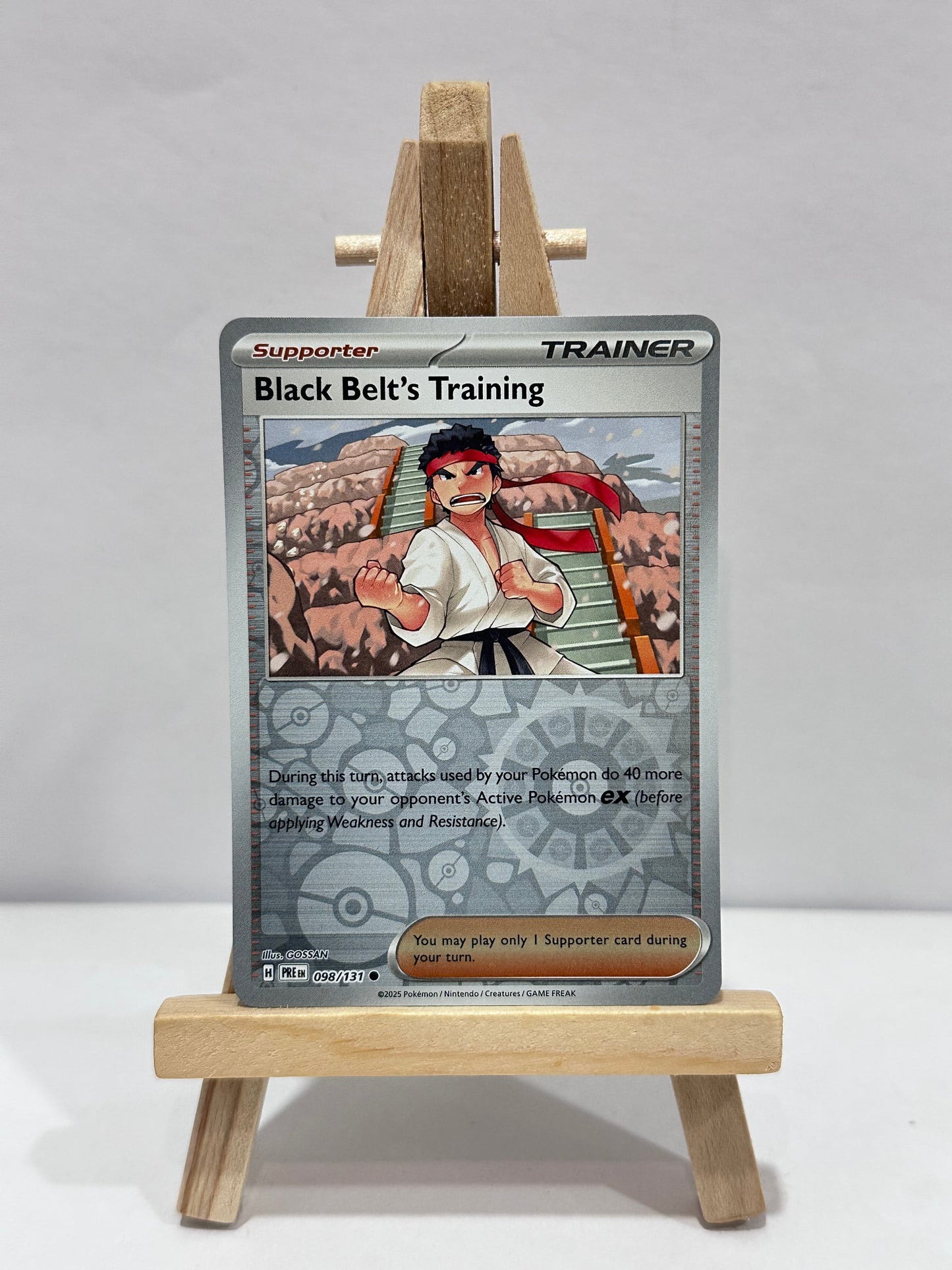 Black Belt’s Training (SV Prismatic Evolution)