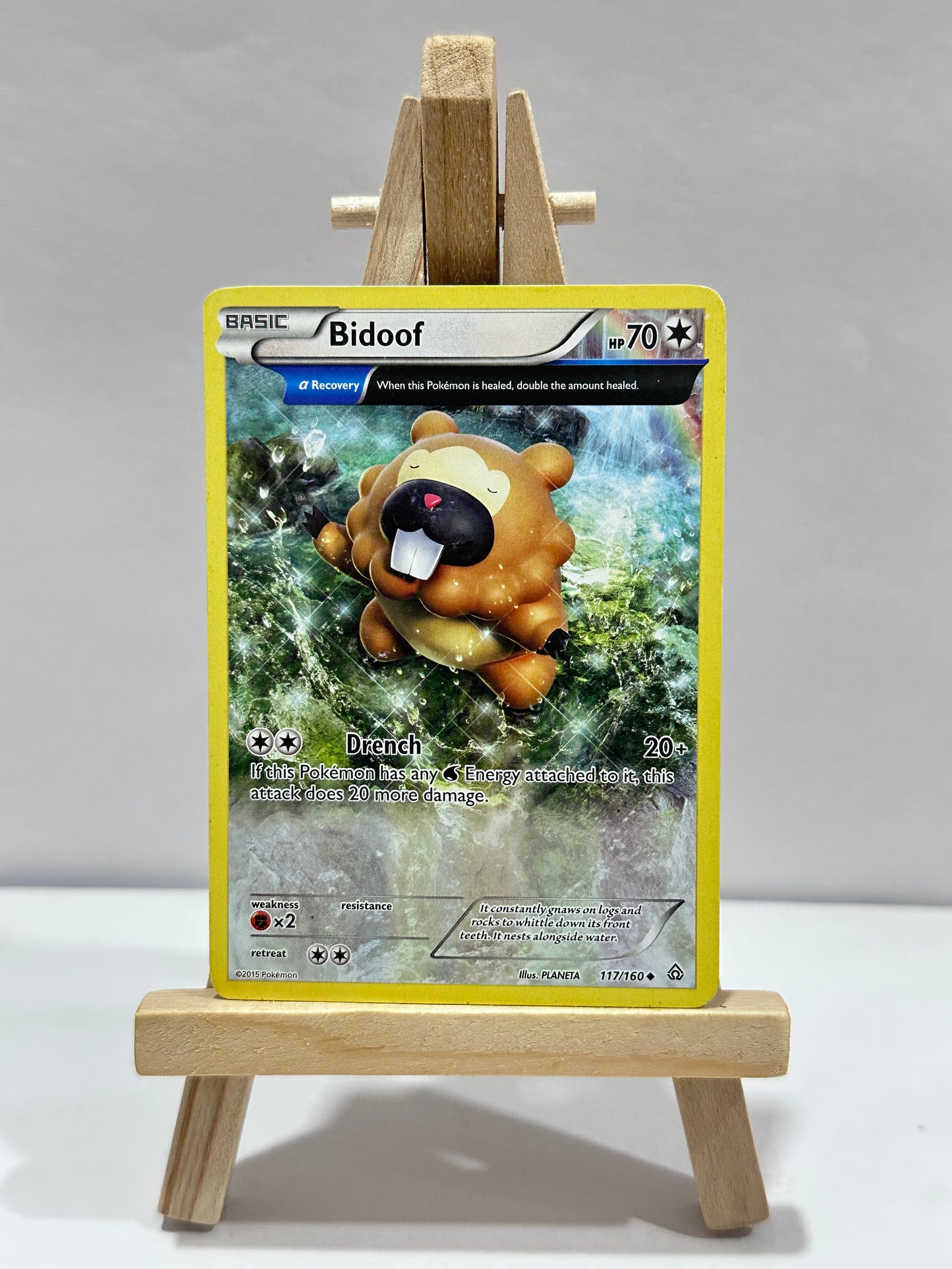 Bidoof (Primal Clash)