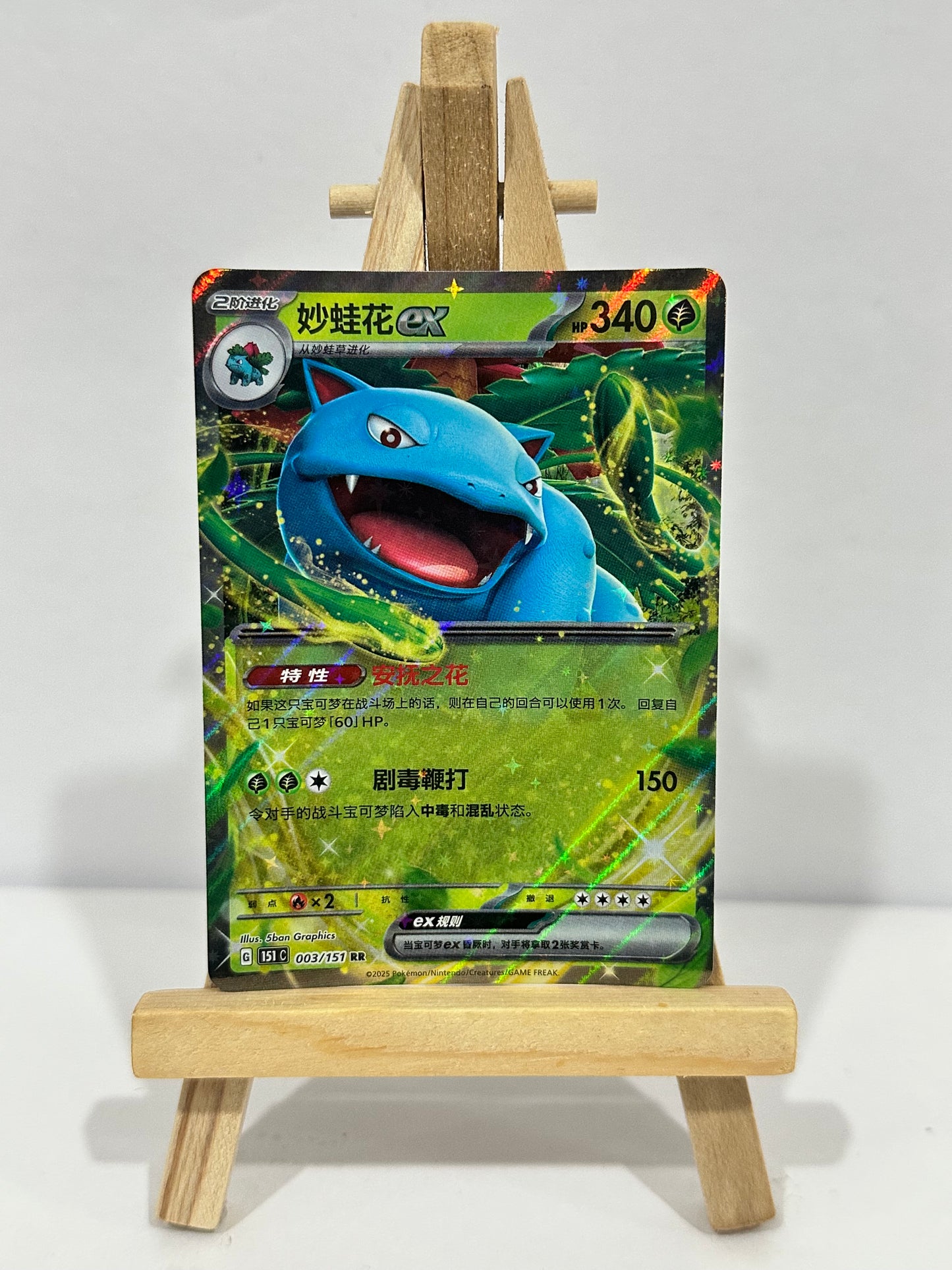 Venusaur ex (Chinese)