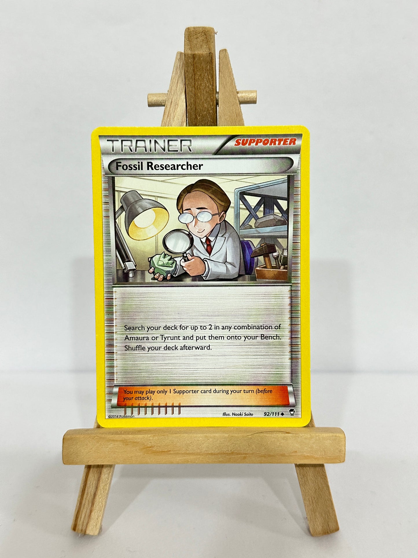 Fossil Researcher (XY)