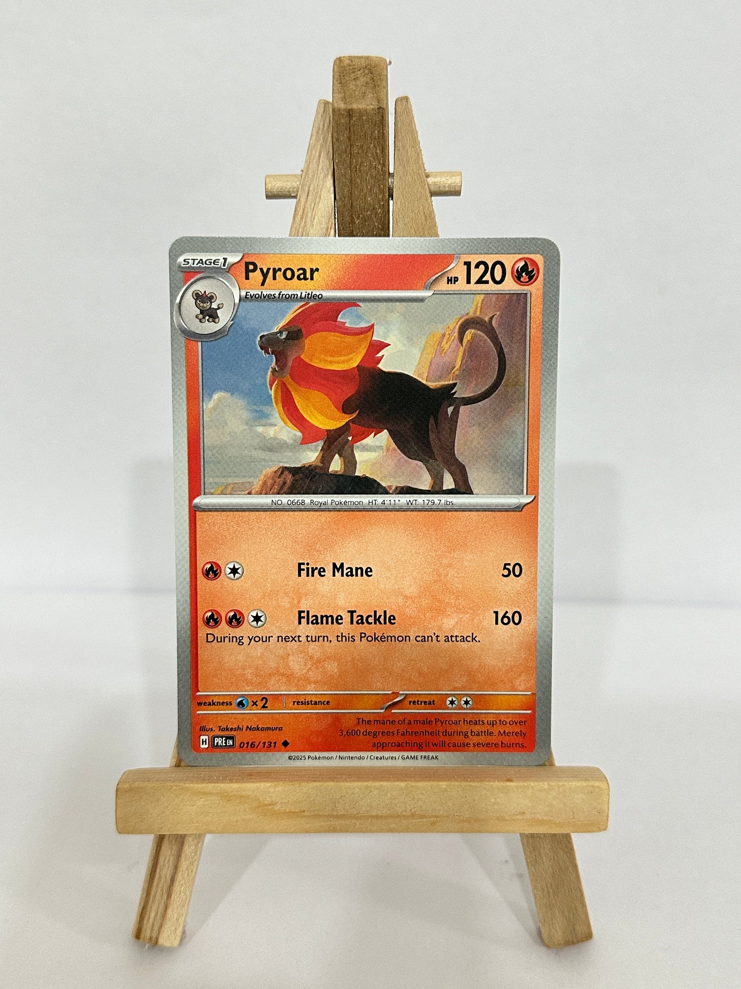 Pyroar 016