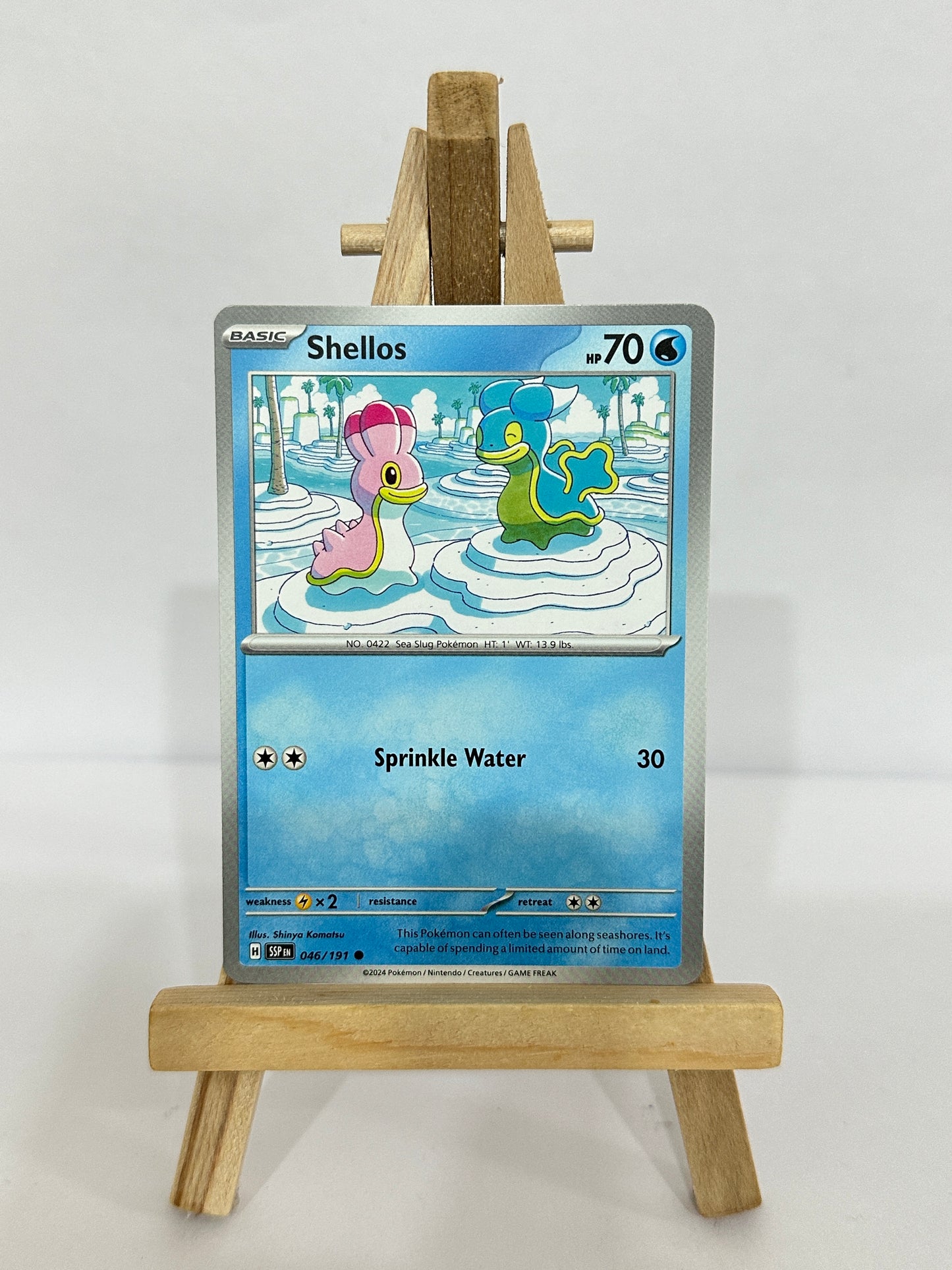 Shellos 046