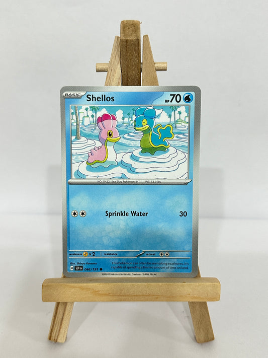 Shellos 046