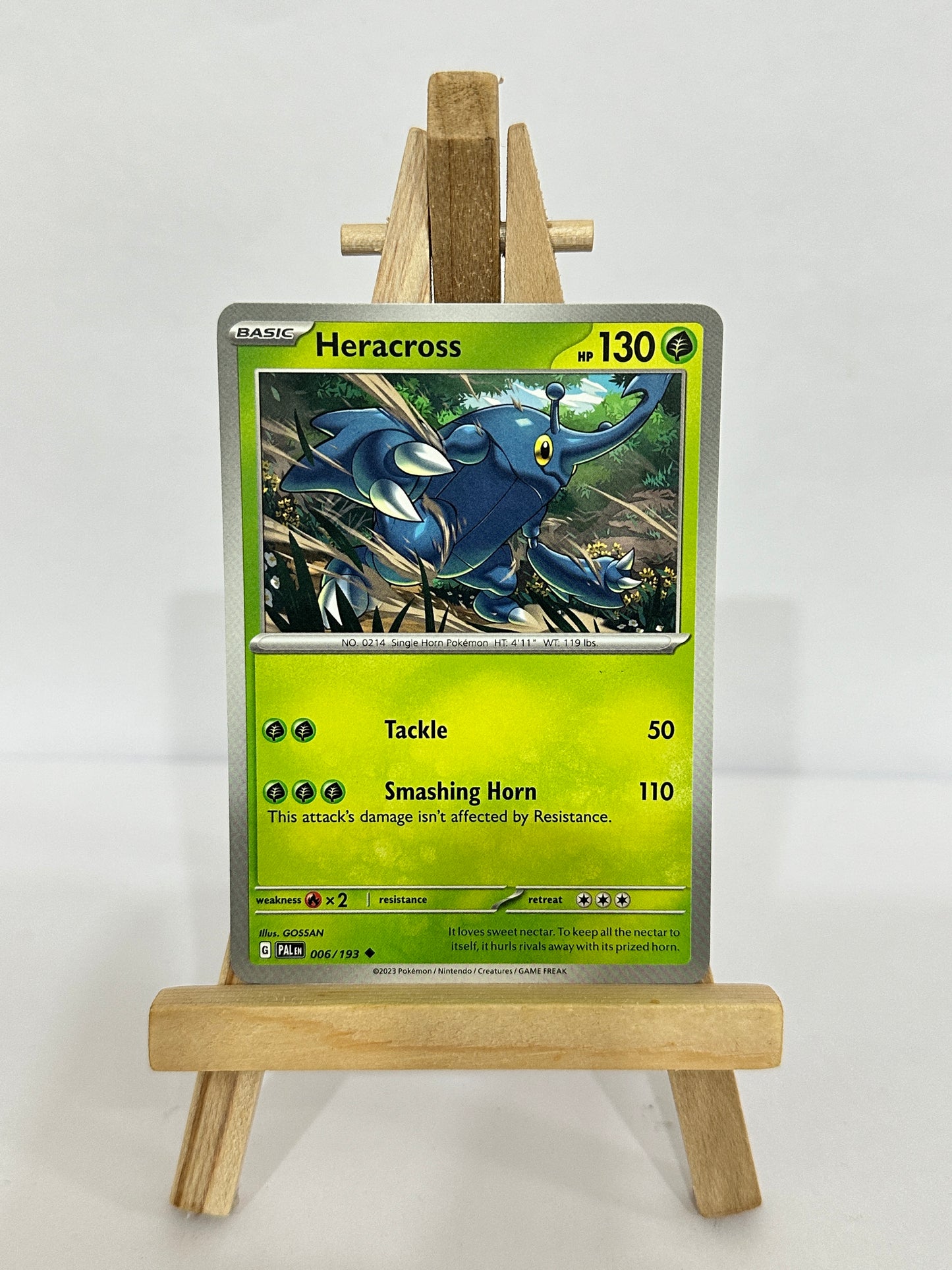 Heracross 006