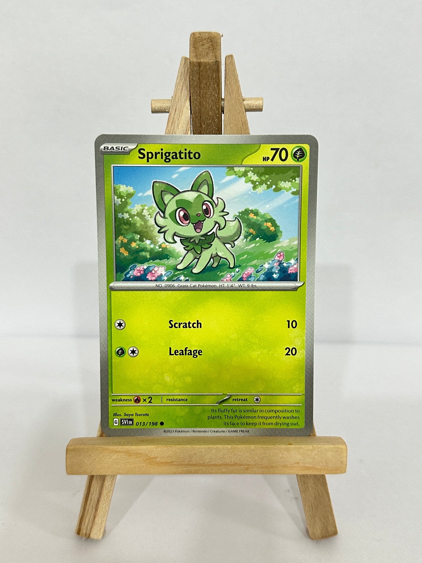 Sprigatito