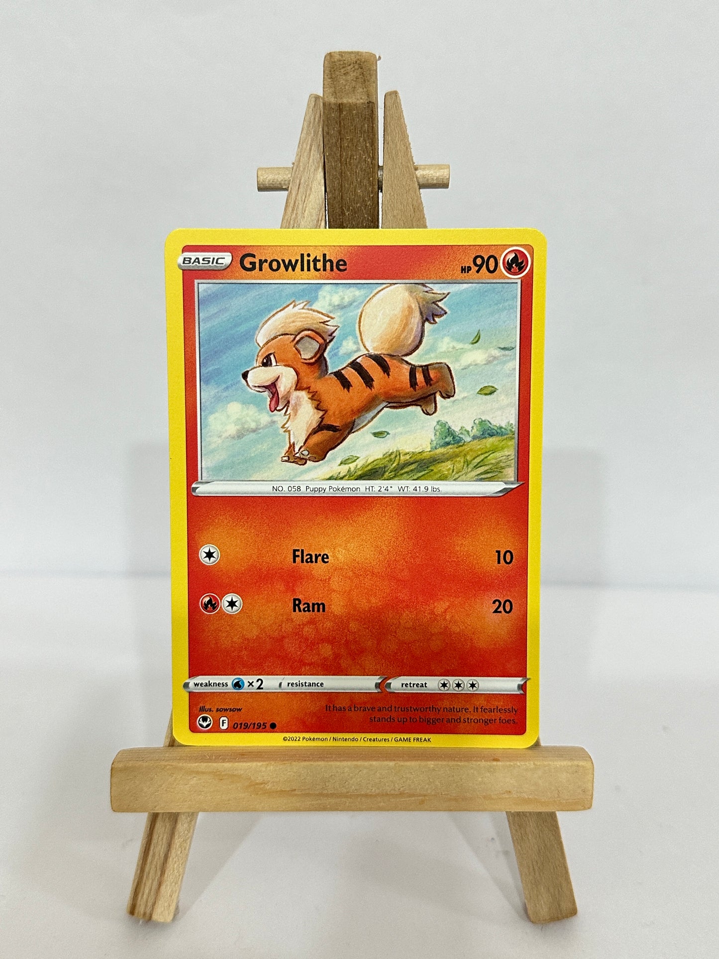Growlithe 019