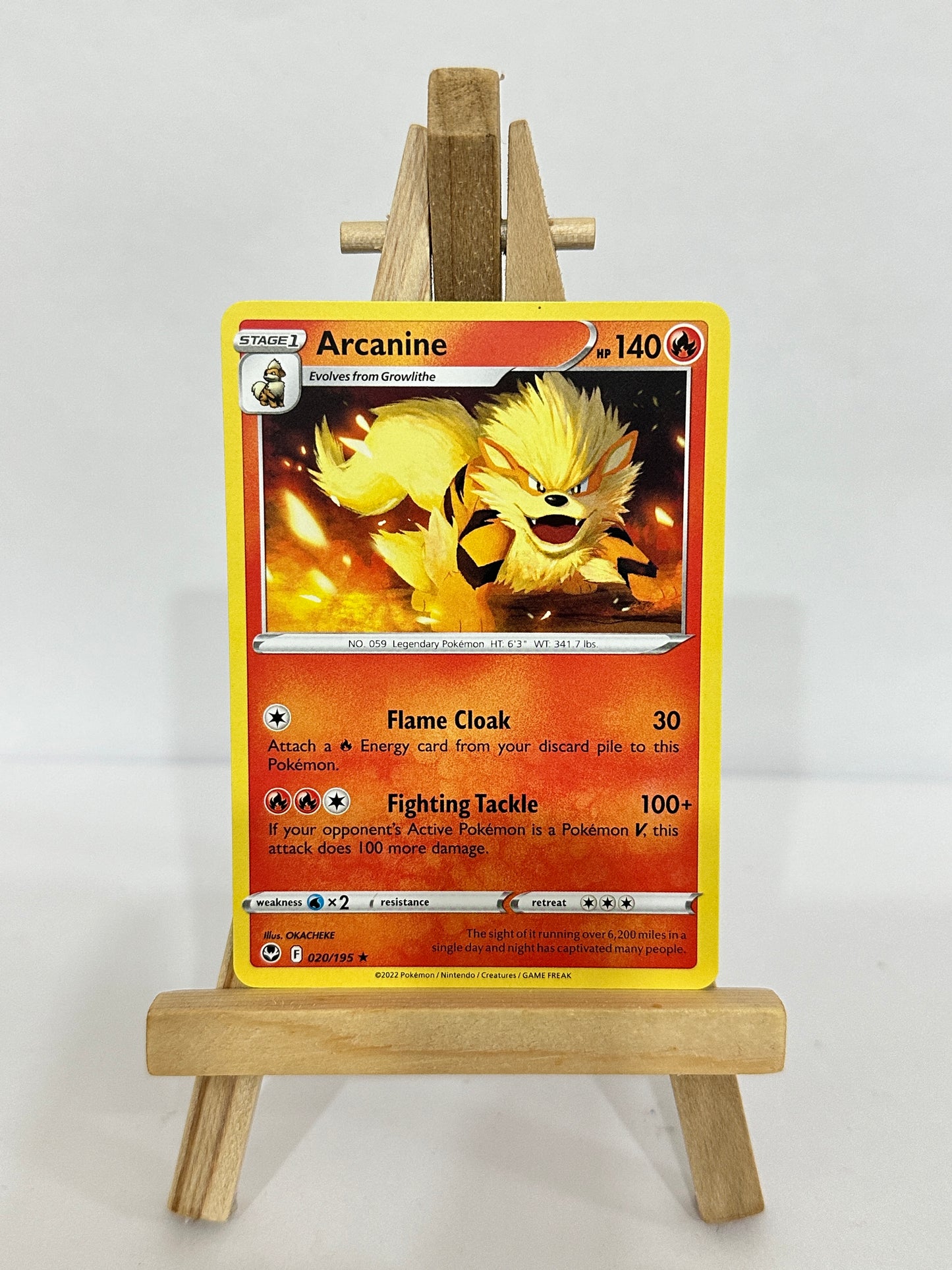 Arcanine 020