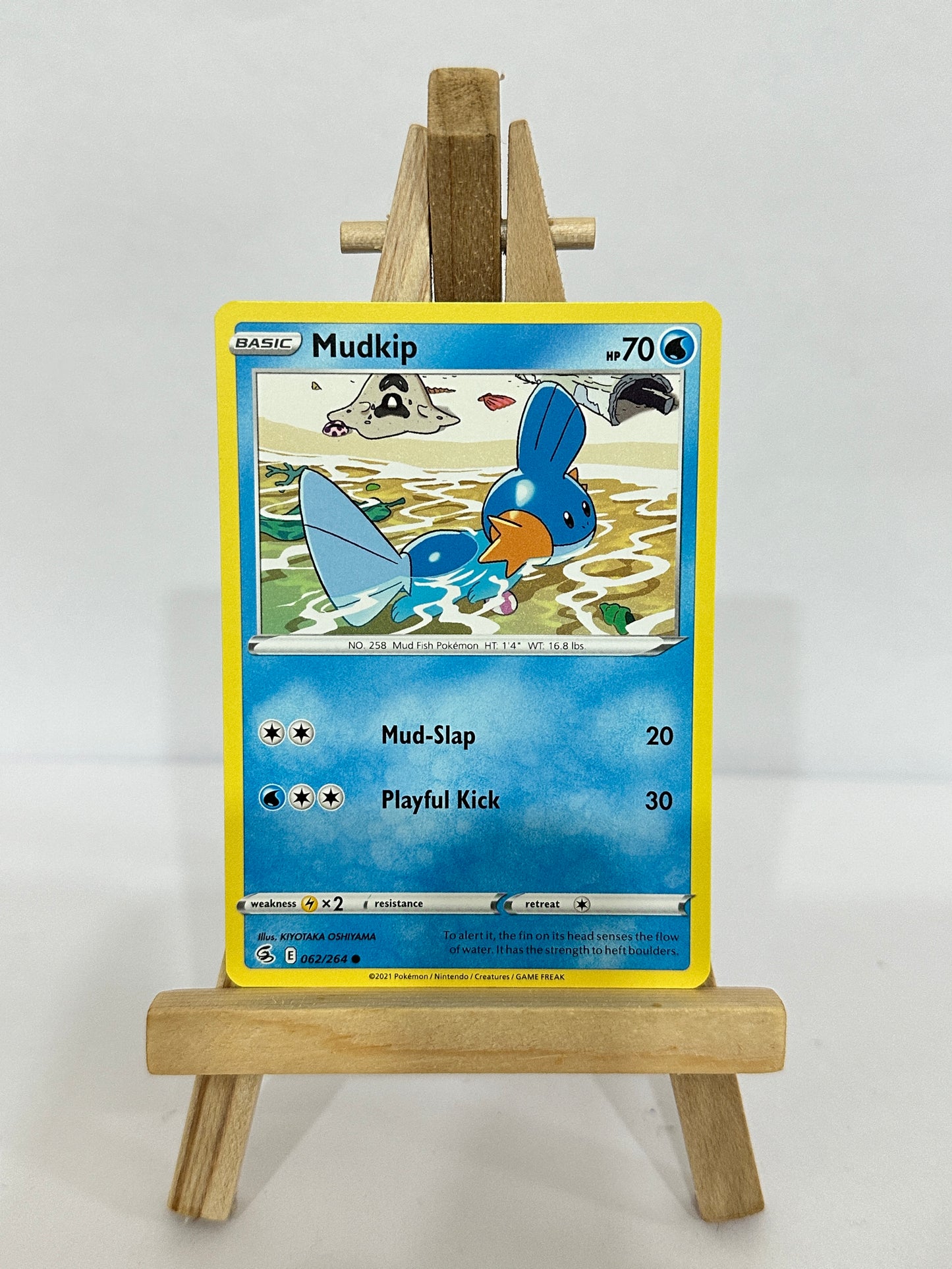 Mudkip