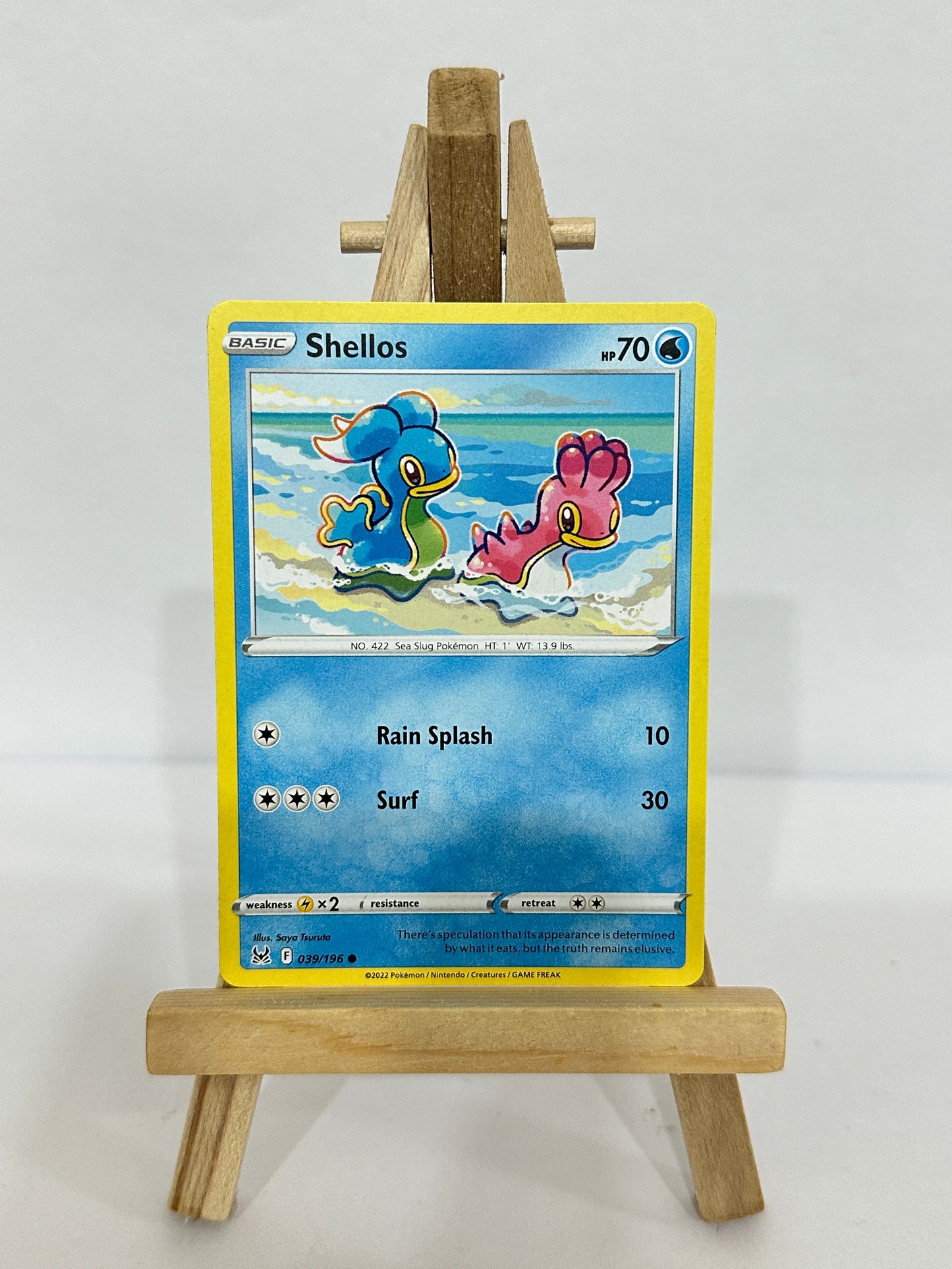 Shellos 039