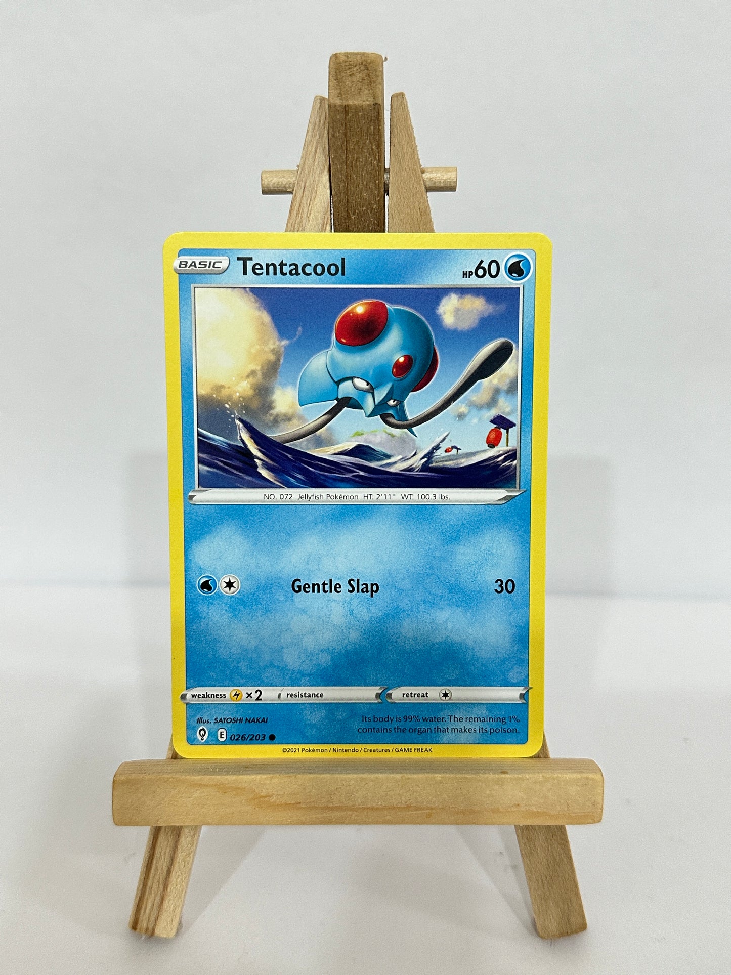 Tentacool 026