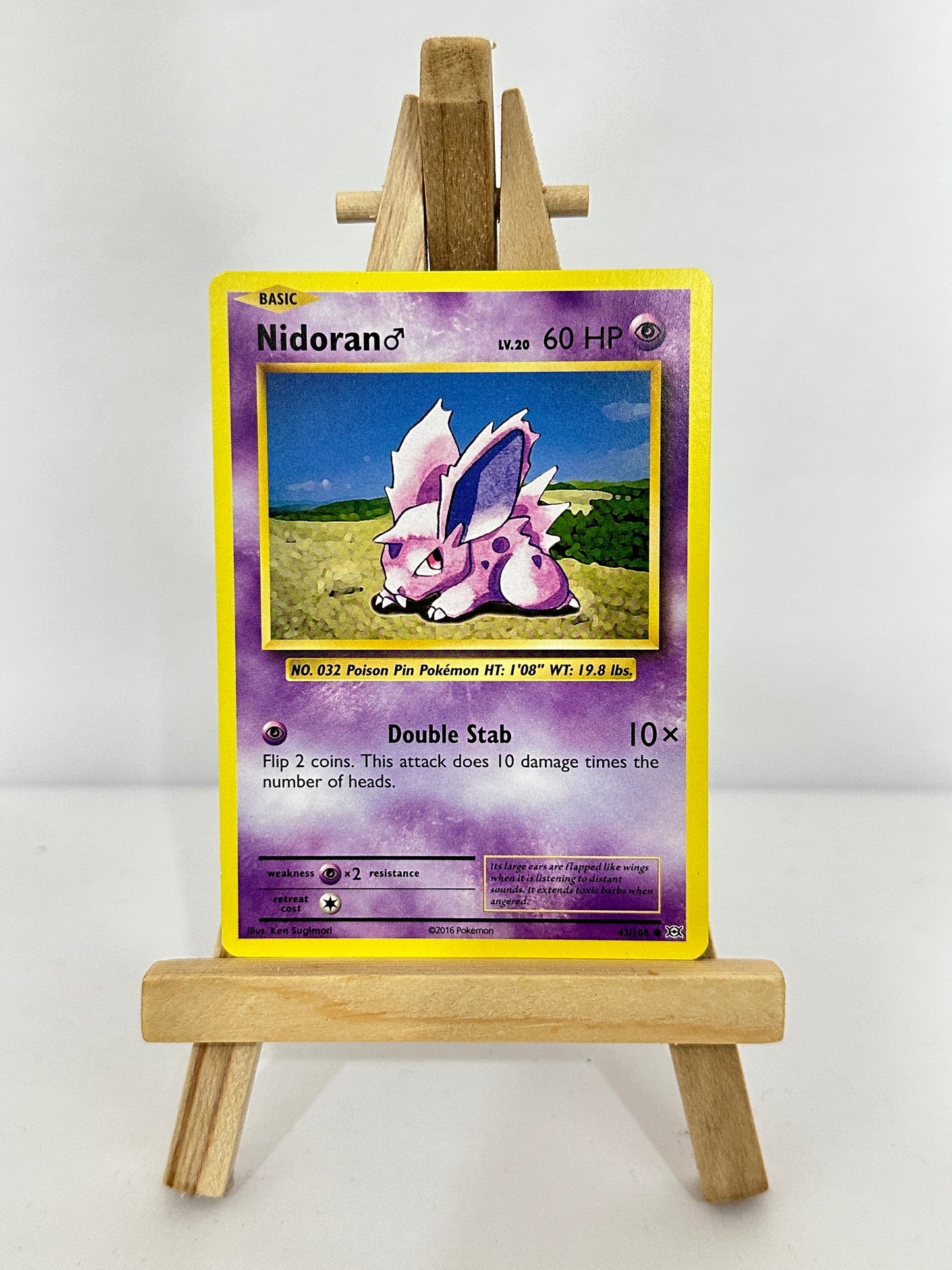 Nidoran (XY Evolutions)