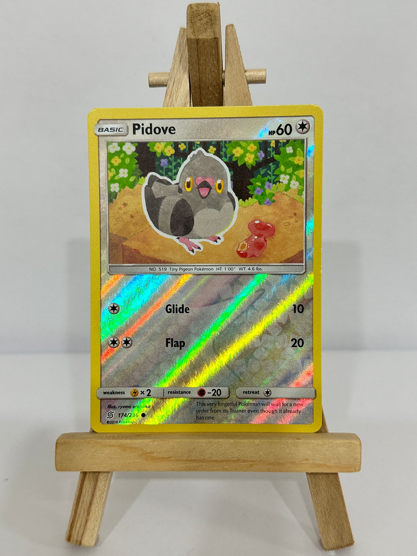 Pidove (SM Unified Minds) Reverse Holo
