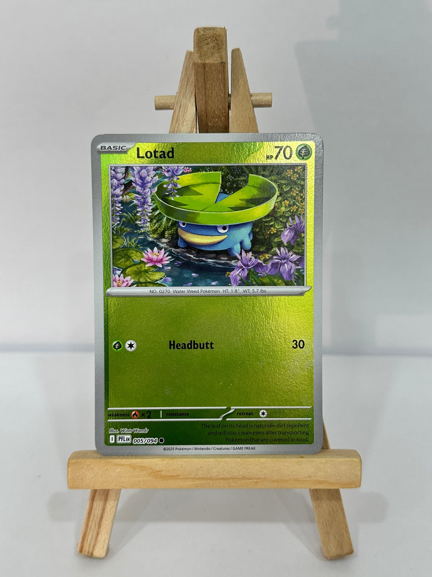 Lotad (ME Phantasmal Flames) Reverse Holo