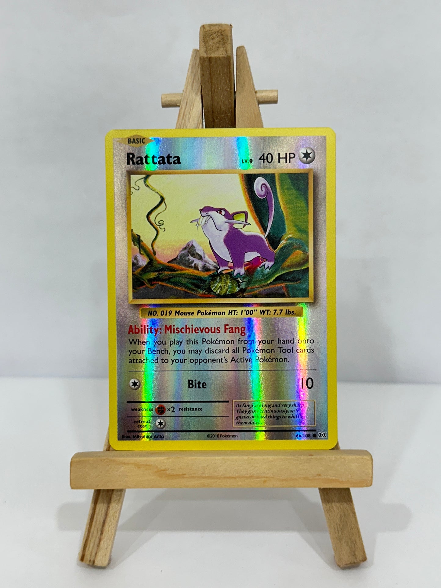 Rattata (XY Evolutions)
