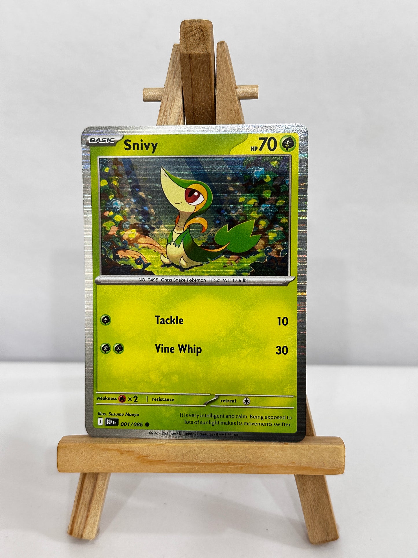 Snivy (SV Black Bolt) Holo Promo