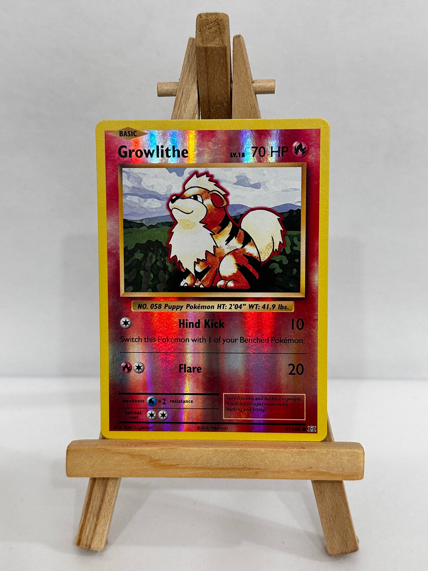 Growlithe (XY Evolutions) Reverse Holo
