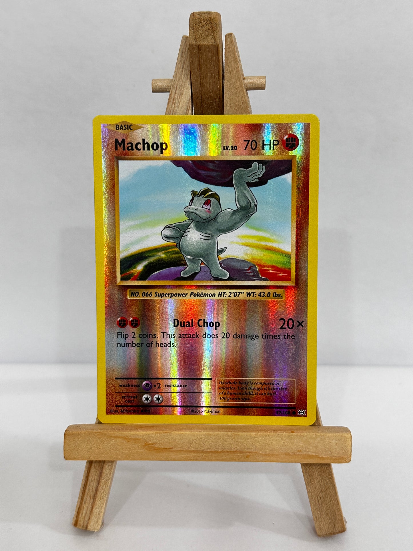 Machop (XY Evolutions) Reverse Holo