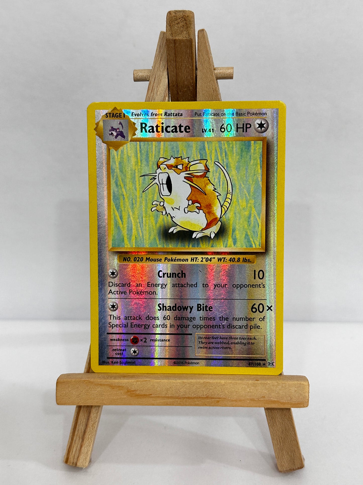 Raticate (XY Evolutions) Reverse Holo