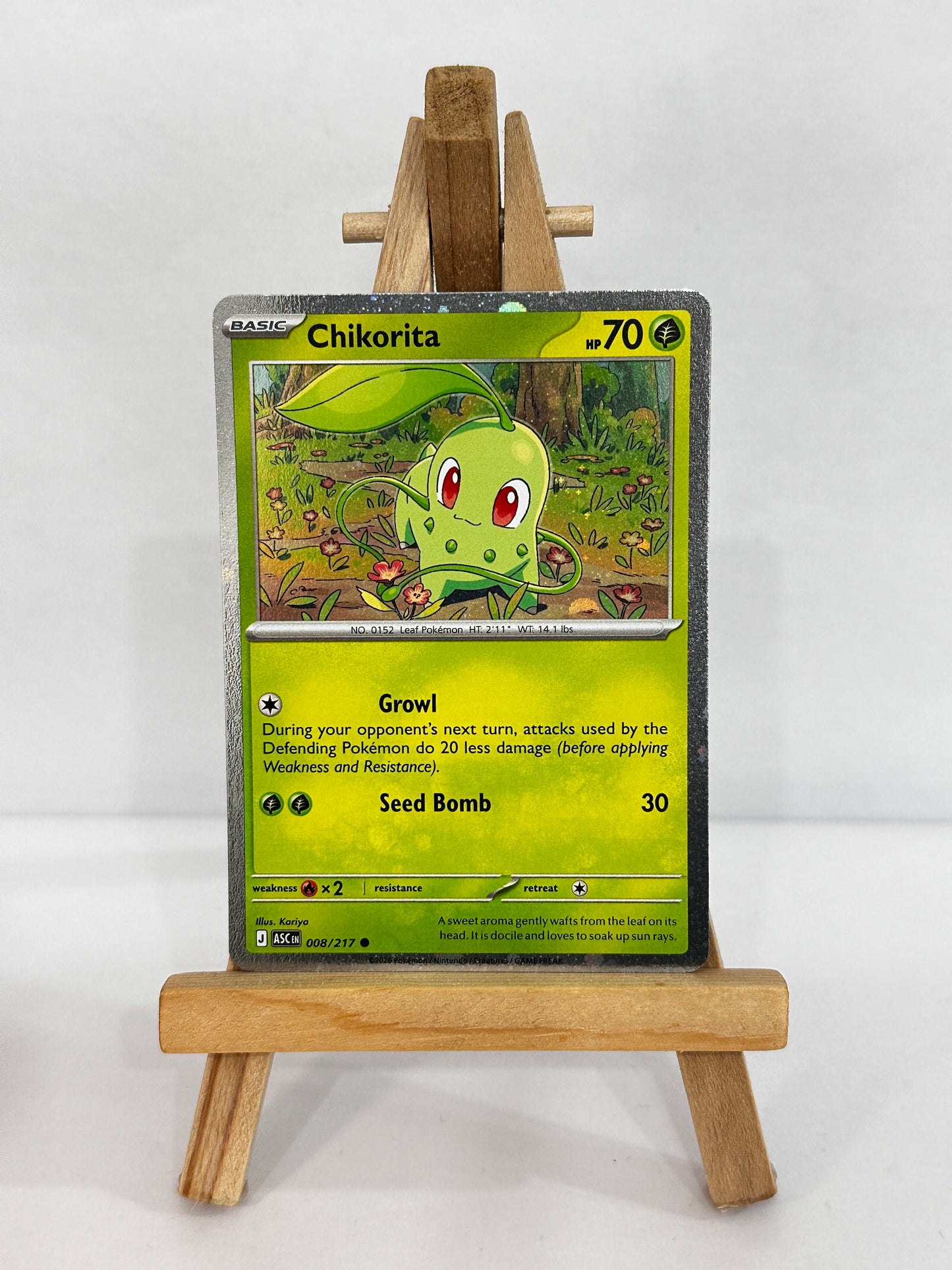 Chikorita (ME Ascended Heroes) Promo Cosmo Holo