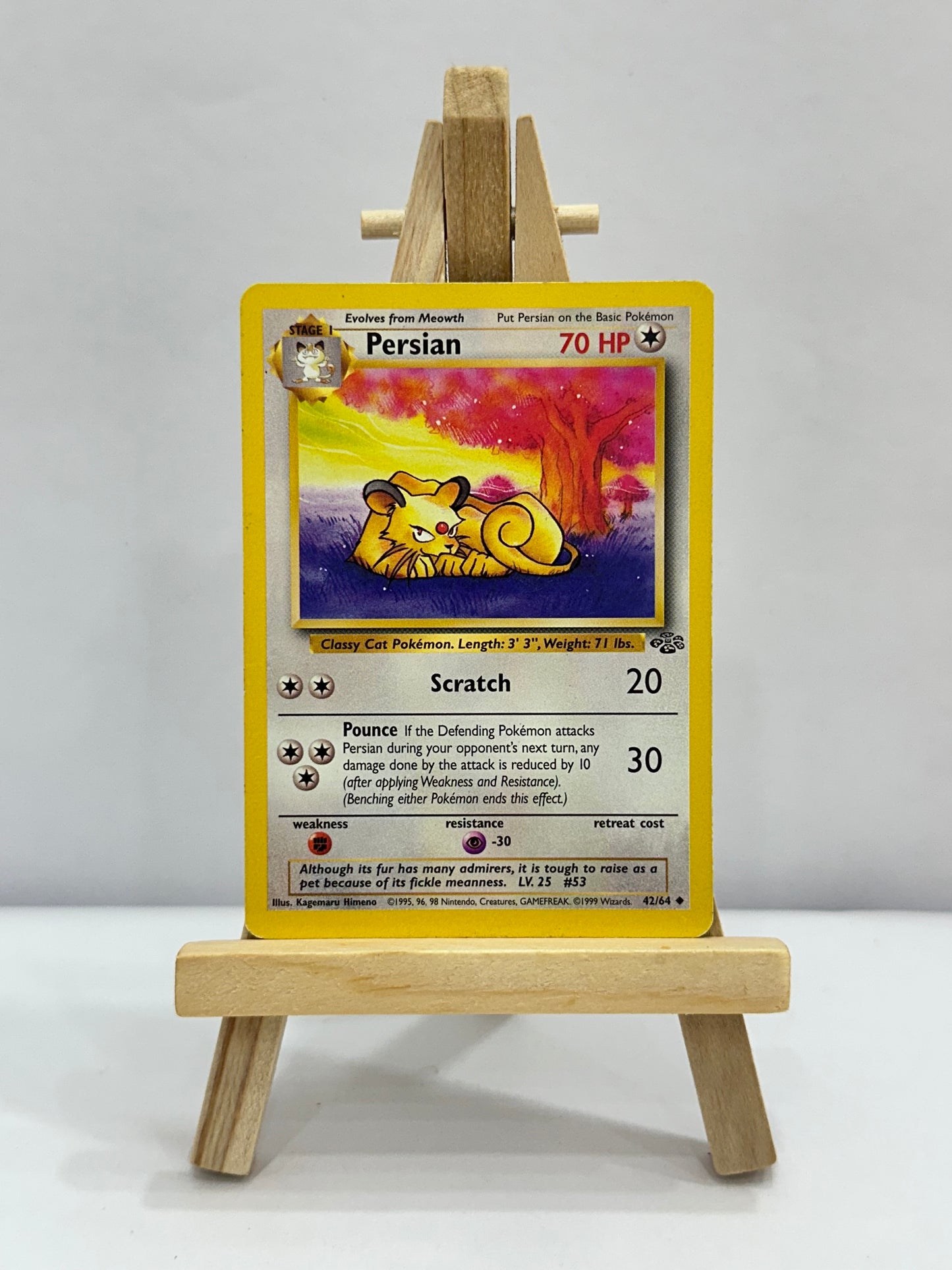 Persian (Jungle)