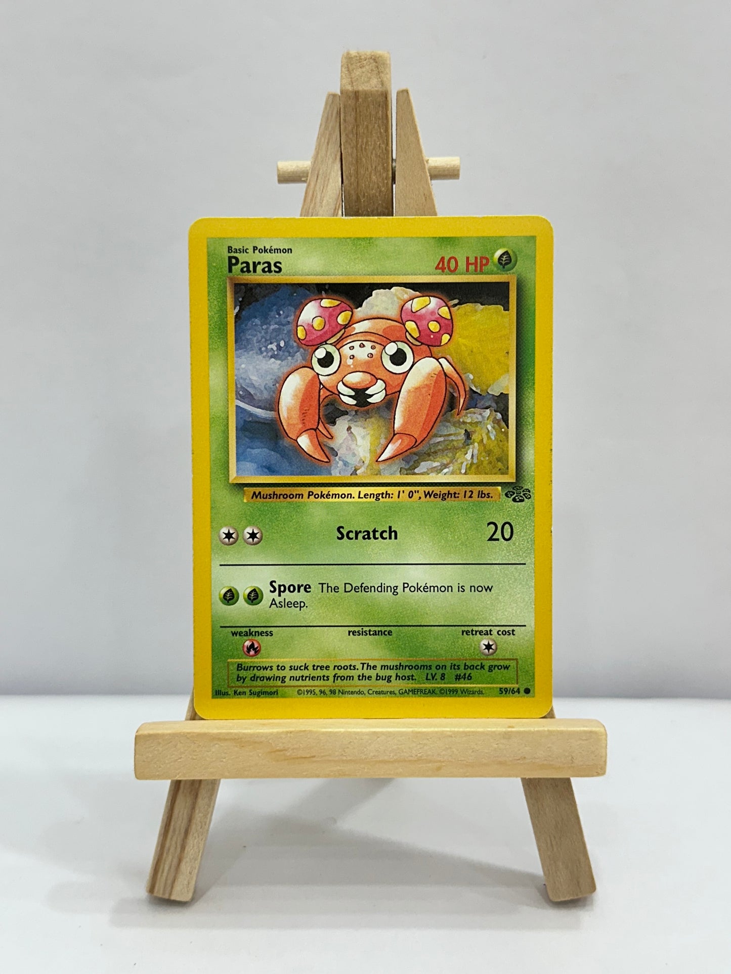 Paras (Jungle)