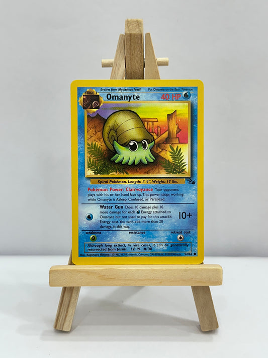 Omanyte (Fossil)