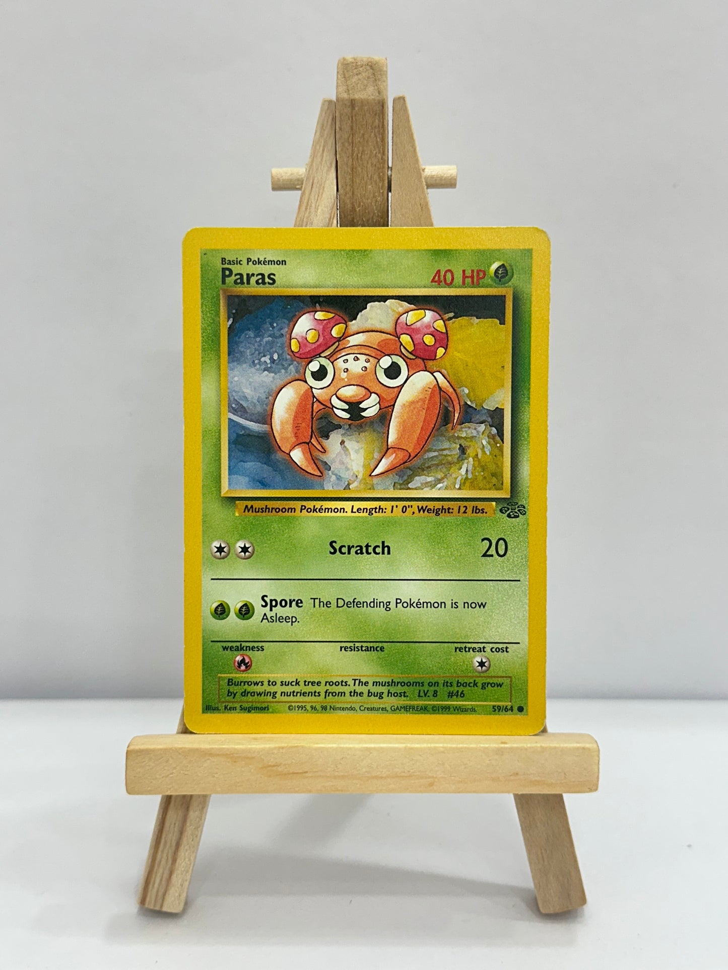 Paras (Jungle)