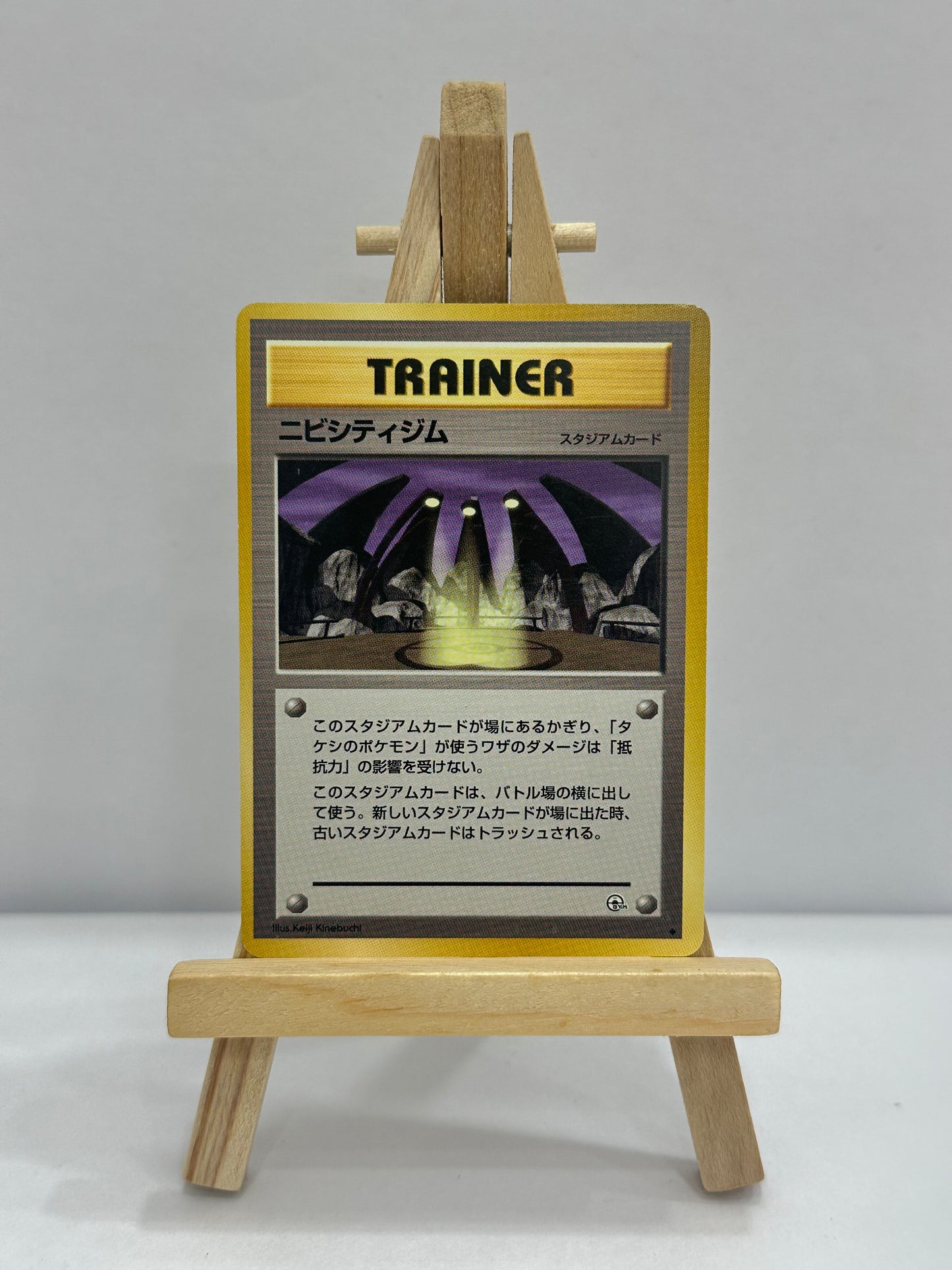 Pewter City Gym