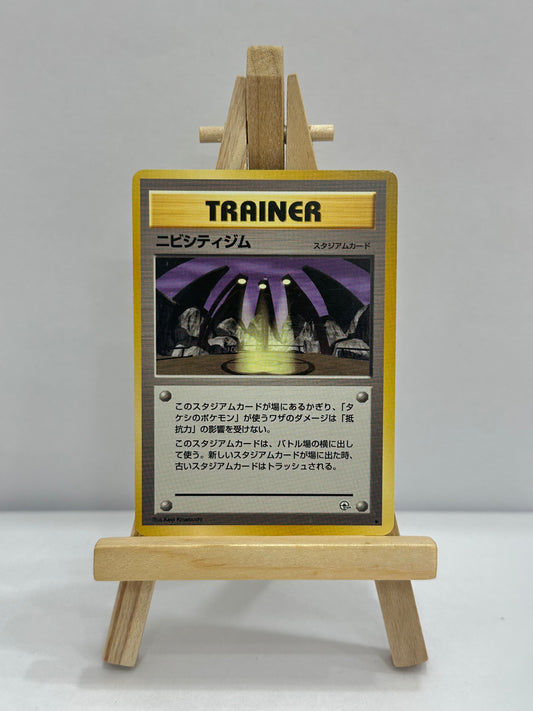 Pewter City Gym